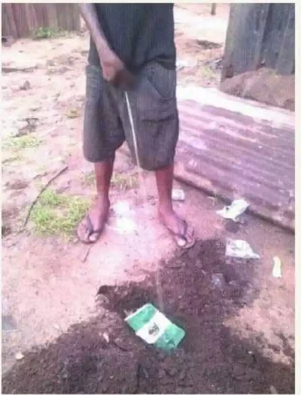 Serious Outrage As Man Brings Out His Manhood, Urinates on Nigerian Flag and Burns It (Photos)